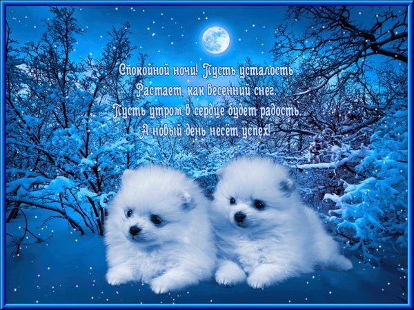 Спокойной ночи