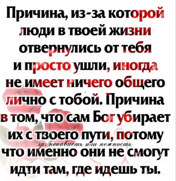 IMG 20260221 020558