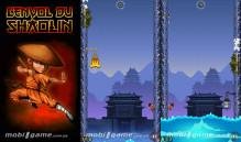 Shaolin Jump Samsung 240x320 touch