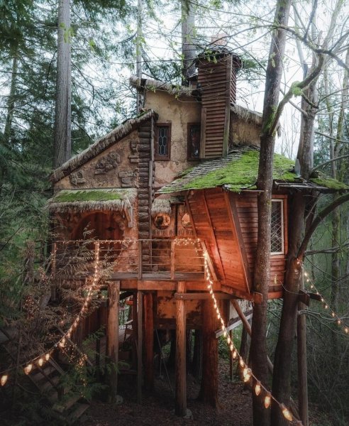 file_97638720