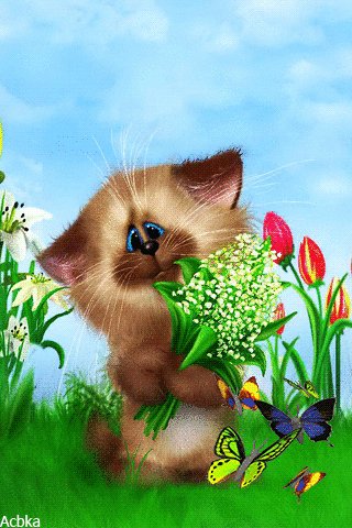 file_81865250
