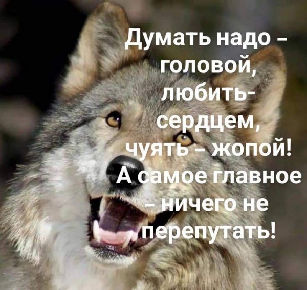 8e510f8f0ba1a3240df5ef0d9e914fe1