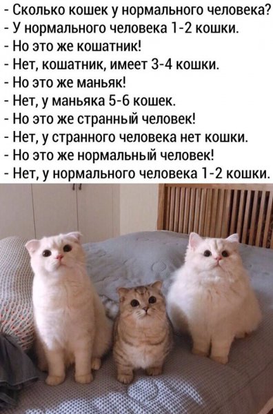 file_102507152