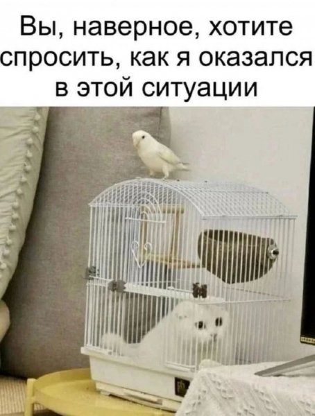 IMG 20260810 155137 284