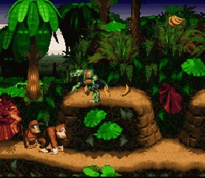 Donkey Kong Country