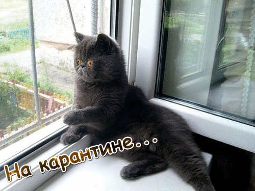 file_81372581