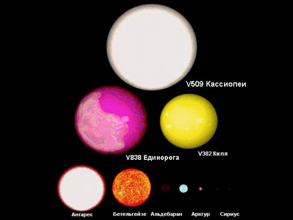 Звезда V509