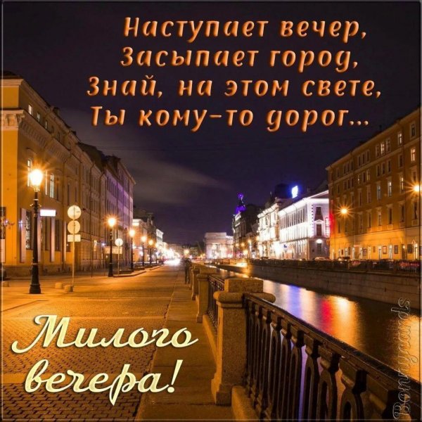 IMG-20241110-WA0006