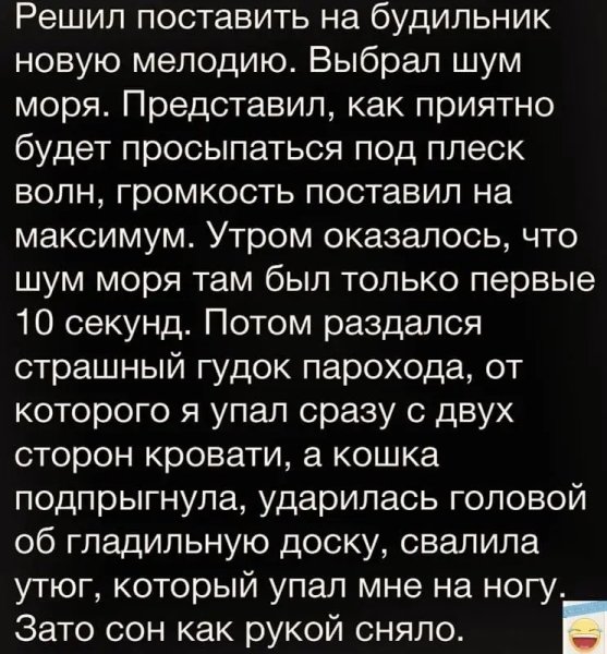 file_97647220