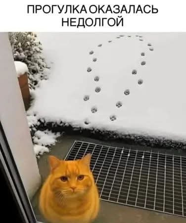 FB IMG 1766094620908