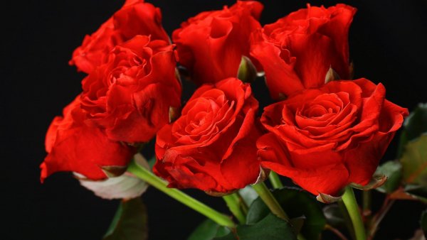 Image (5)