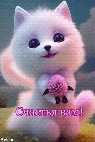 file_92213966