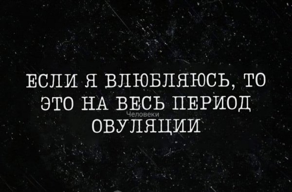 YcQLppyBGQE