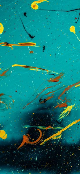 adapted 1080x2340