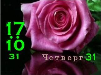 х240 Розовая роза Цифровые часы Фл.2