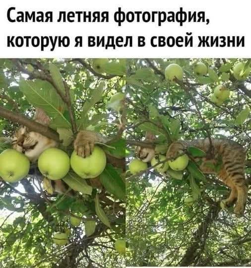 FB IMG 1774291245754