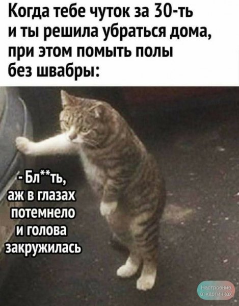 FB IMG 1770236829808