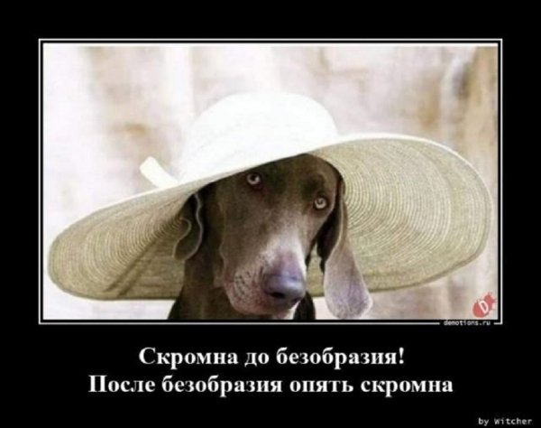 Скромна до безобразия