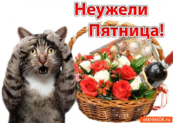 file_92357374
