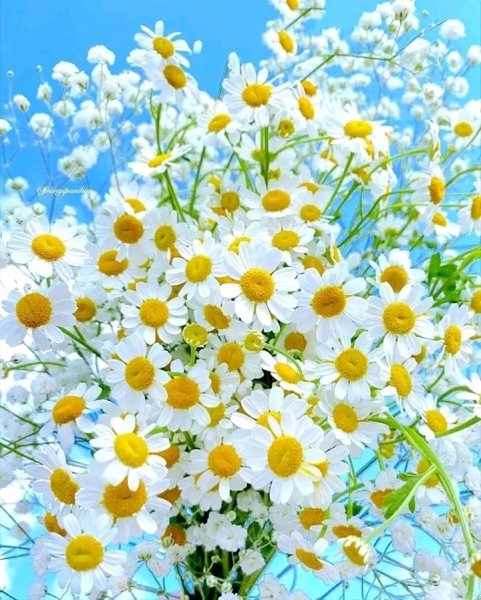 file_103170002