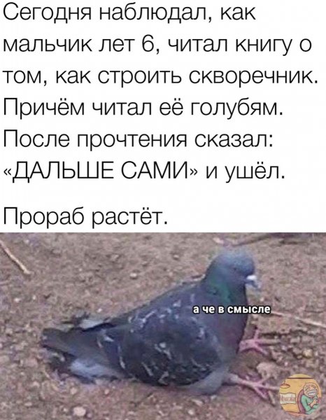 BScqL HKpt0
