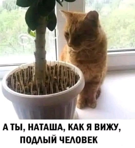 file_103260841