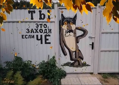 Анимированная открытка ты это заходи