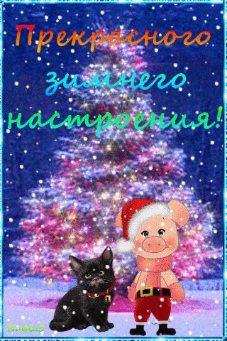 file_76116543