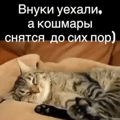 IMG 20220830 114856