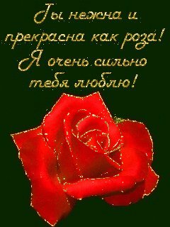 file_54445682