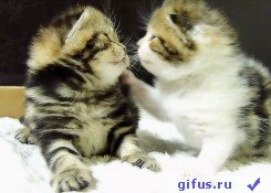 Lyubov smilewords(1)