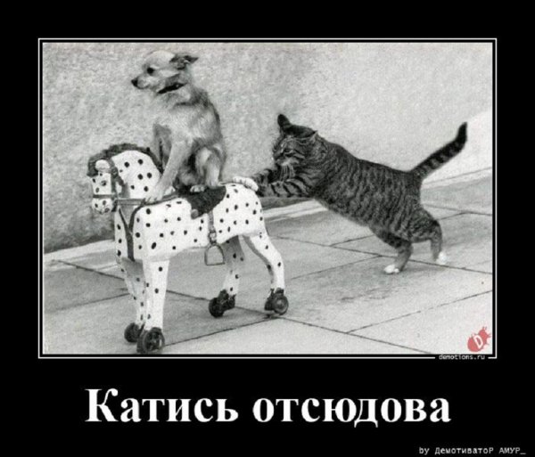 Катись отсюдова