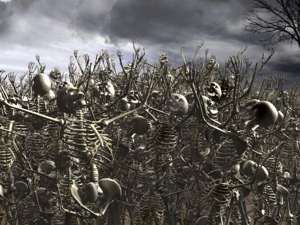 chelovecheskie-skeleti