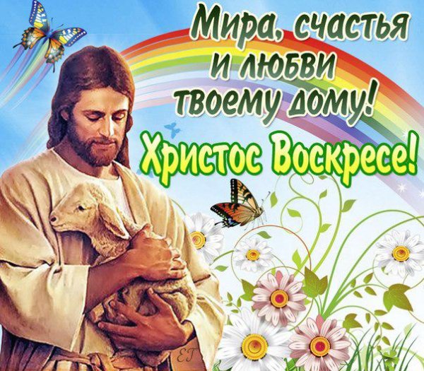 7rZbkojtxHc
