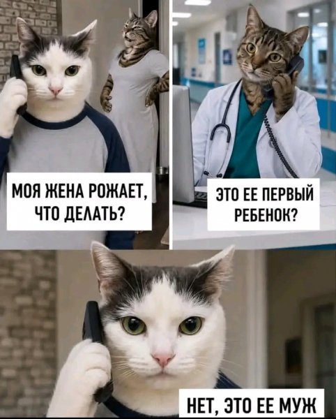 file_103313613