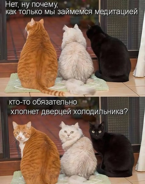Gusev psy 694153f2a48e4e7496480748c0ee225d