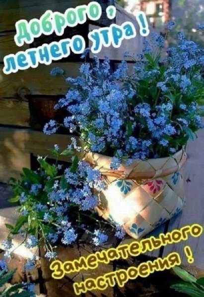 Доброго летнего утра! Замечательного настроения!