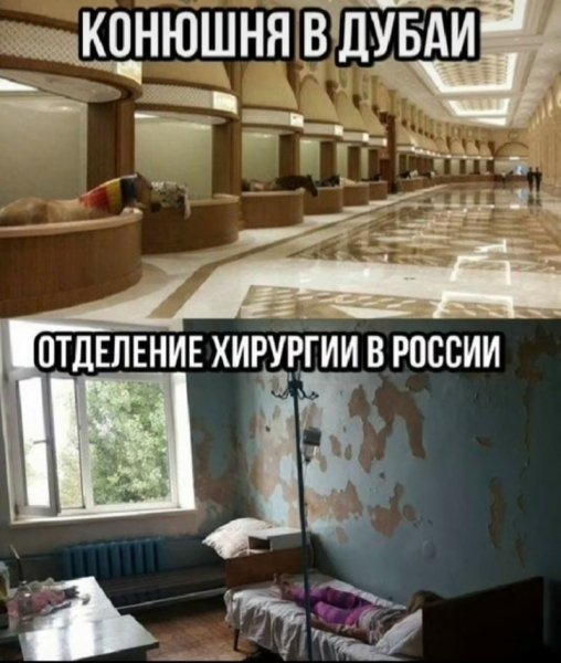 file_100137710