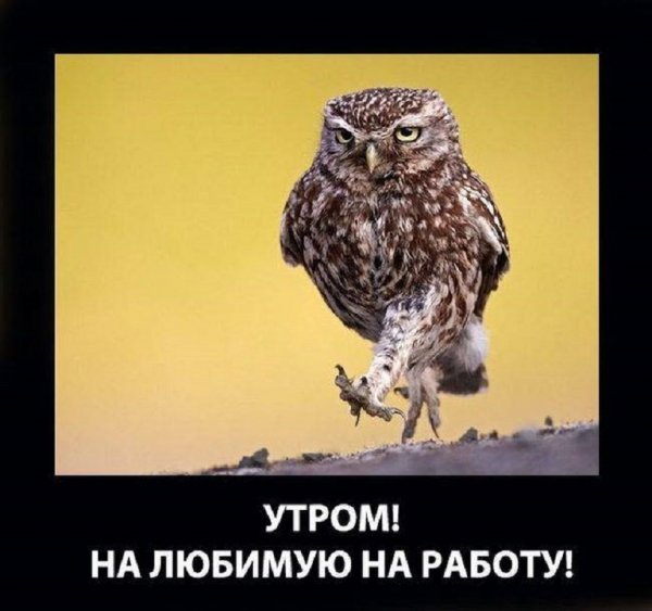 Утром на работу