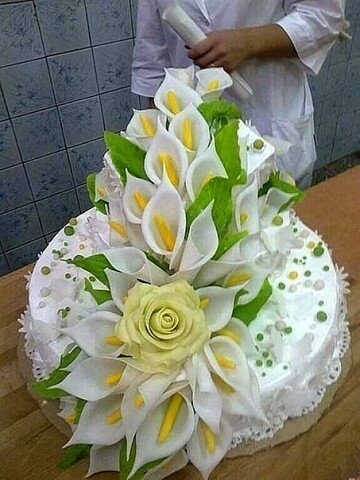 image (18)