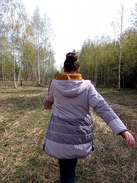 Пешком по весеннему лесу