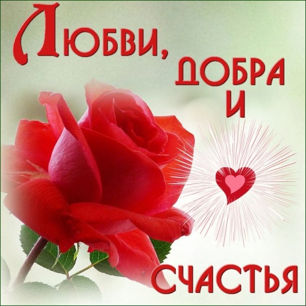 rjOOCznhZqY