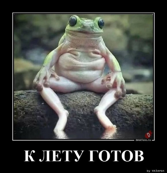 К лету готов