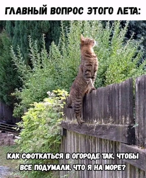 file_103374498
