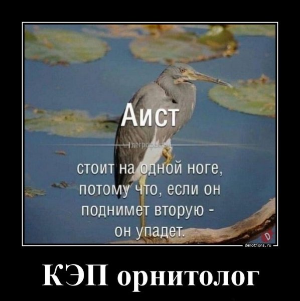 Орнитолог