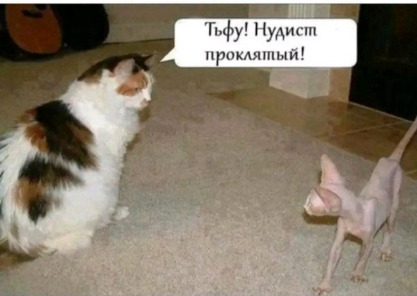 file_103260396