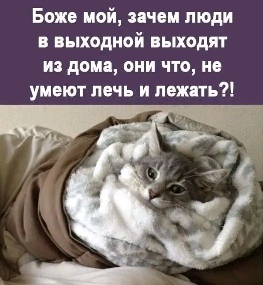 file_103311015
