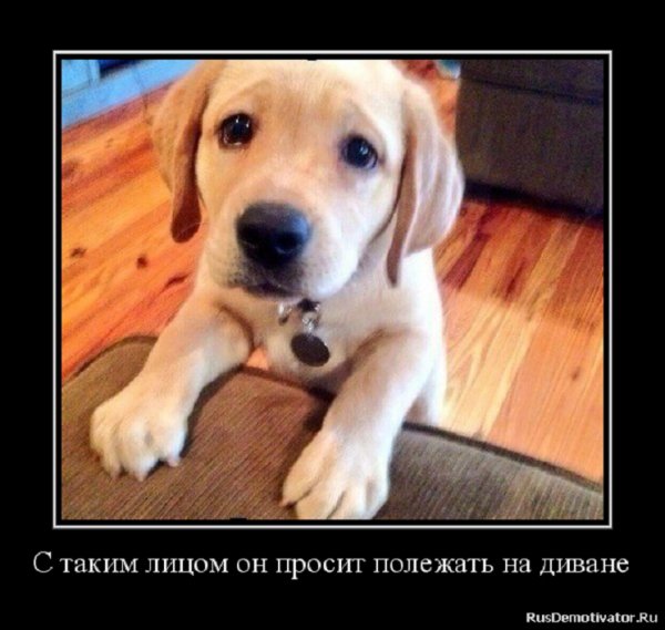 Полежать на диване