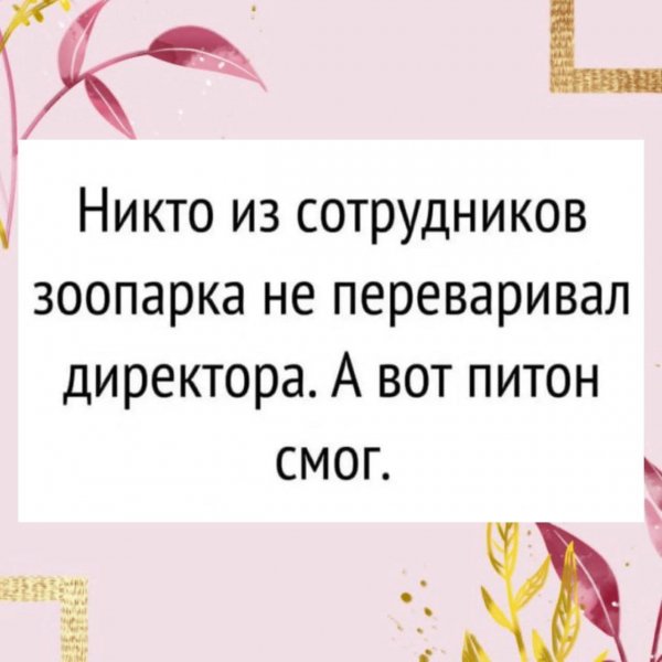 FB IMG 1770326324013