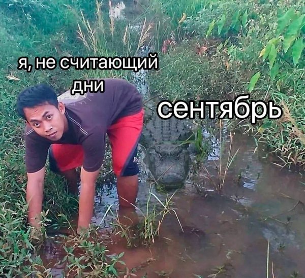 IMG 20260818 141104 320